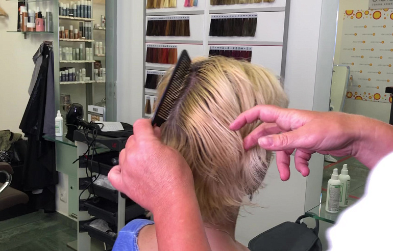 Так выглядят волосы перед началом работы